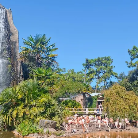 Сasa de vacaciones Charmante Maison Proche La Tremblade